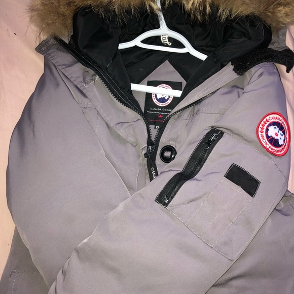 Gray Canada goose for sale - Picture 5 of 11